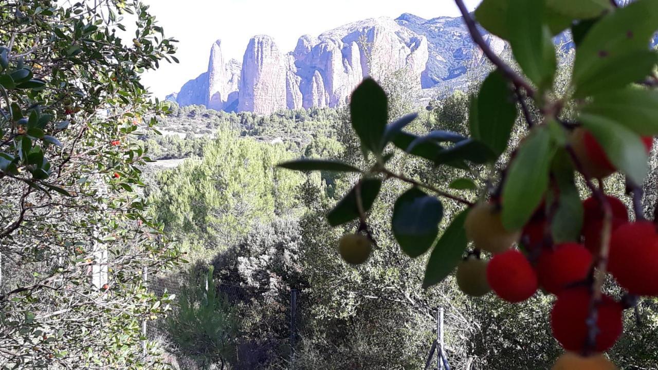 Despertar En Riglos Apartman Kültér fotó